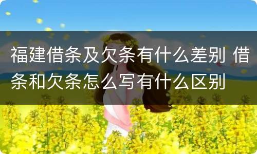福建借条及欠条有什么差别 借条和欠条怎么写有什么区别