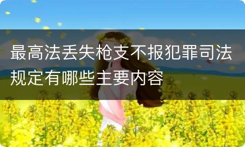 最高法丢失枪支不报犯罪司法规定有哪些主要内容