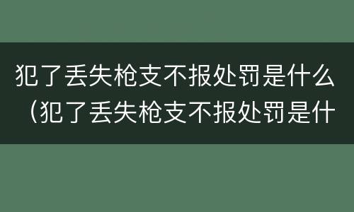 犯了丢失枪支不报处罚是什么（犯了丢失枪支不报处罚是什么意思）