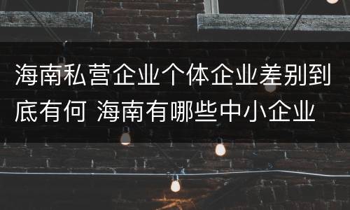 海南私营企业个体企业差别到底有何 海南有哪些中小企业