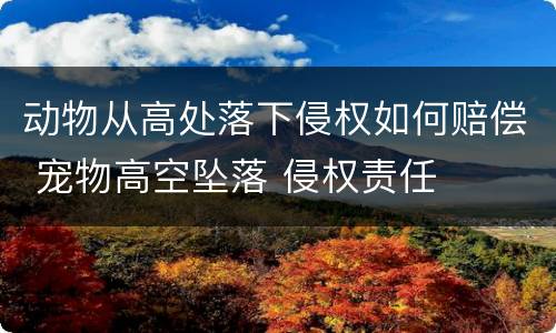 动物从高处落下侵权如何赔偿 宠物高空坠落 侵权责任