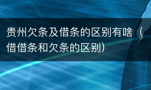 贵州欠条及借条的区别有啥（借借条和欠条的区别）
