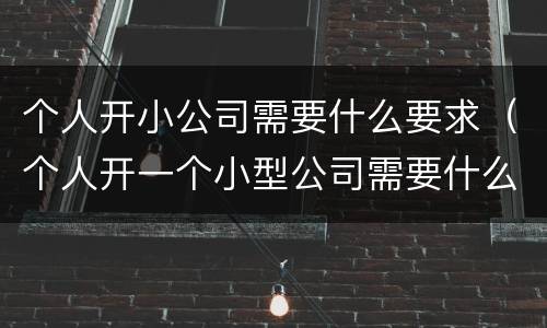 个人开小公司需要什么要求（个人开一个小型公司需要什么）
