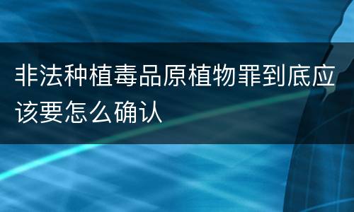 非法种植毒品原植物罪到底应该要怎么确认