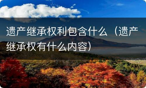 遗产继承权利包含什么（遗产继承权有什么内容）