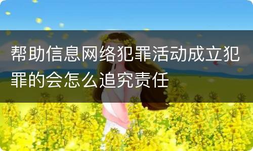 帮助信息网络犯罪活动成立犯罪的会怎么追究责任