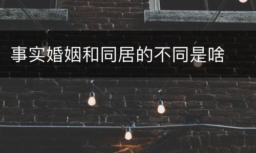 事实婚姻和同居的不同是啥