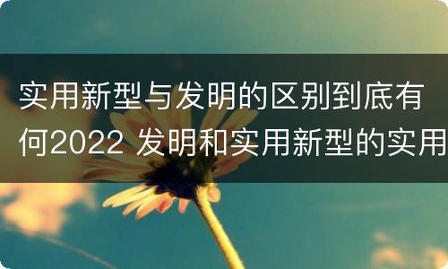 实用新型与发明的区别到底有何2022 发明和实用新型的实用性