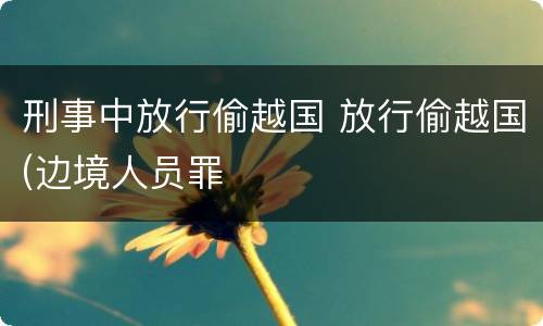 刑事中放行偷越国 放行偷越国(边境人员罪