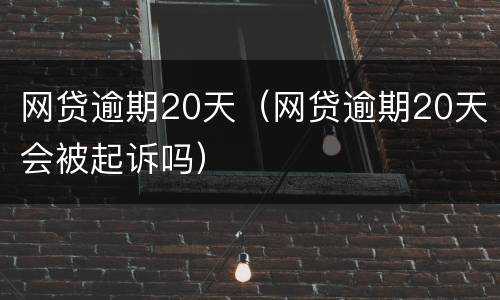网贷逾期20天（网贷逾期20天会被起诉吗）