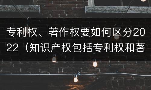 专利权、著作权要如何区分2022（知识产权包括专利权和著作权吗）