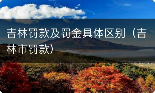 吉林罚款及罚金具体区别（吉林市罚款）