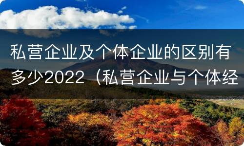 私营企业及个体企业的区别有多少2022（私营企业与个体经营企业的区别）