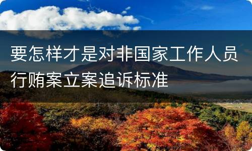 要怎样才是对非国家工作人员行贿案立案追诉标准