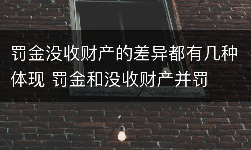 罚金没收财产的差异都有几种体现 罚金和没收财产并罚
