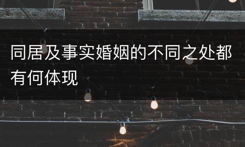 同居及事实婚姻的不同之处都有何体现