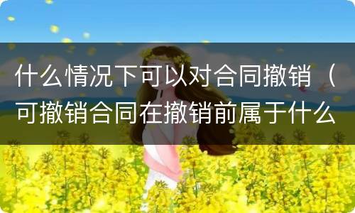 什么情况下可以对合同撤销（可撤销合同在撤销前属于什么合同）