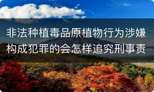 非法种植毒品原植物行为涉嫌构成犯罪的会怎样追究刑事责任
