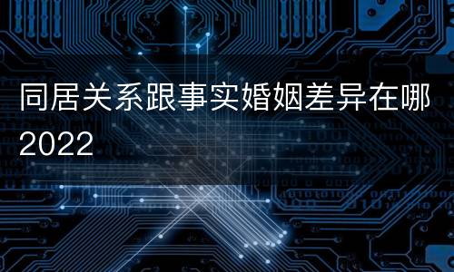 同居关系跟事实婚姻差异在哪2022
