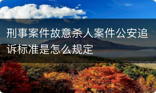 刑事案件故意杀人案件公安追诉标准是怎么规定