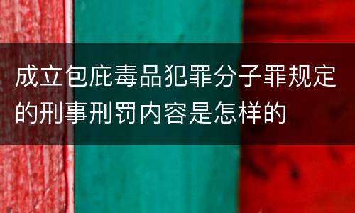 成立包庇毒品犯罪分子罪规定的刑事刑罚内容是怎样的