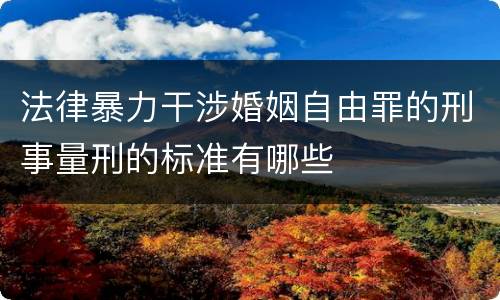 法律暴力干涉婚姻自由罪的刑事量刑的标准有哪些