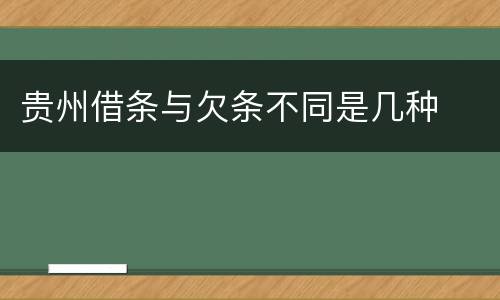 贵州借条与欠条不同是几种