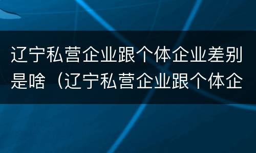 辽宁私营企业跟个体企业差别是啥（辽宁私营企业跟个体企业差别是啥啊）