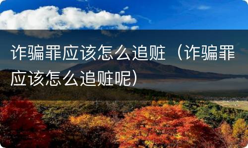 诈骗罪应该怎么追赃（诈骗罪应该怎么追赃呢）