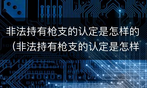 非法持有枪支的认定是怎样的（非法持有枪支的认定是怎样的处罚）