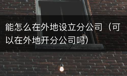 能怎么在外地设立分公司（可以在外地开分公司吗）