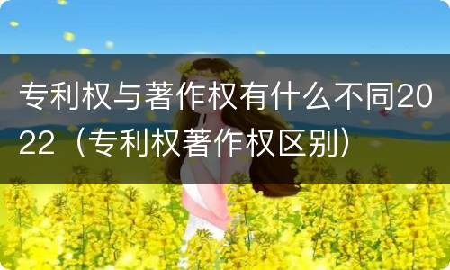 专利权与著作权有什么不同2022（专利权著作权区别）