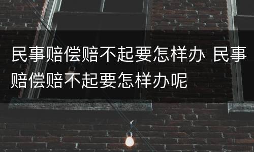 民事赔偿赔不起要怎样办 民事赔偿赔不起要怎样办呢