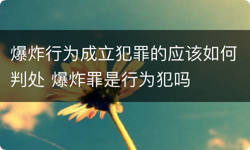 爆炸行为成立犯罪的应该如何判处 爆炸罪是行为犯吗
