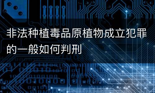 非法种植毒品原植物成立犯罪的一般如何判刑