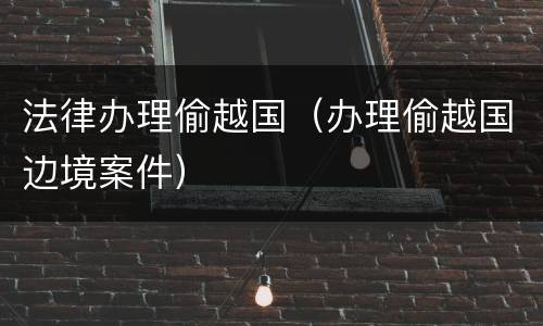 法律办理偷越国（办理偷越国边境案件）