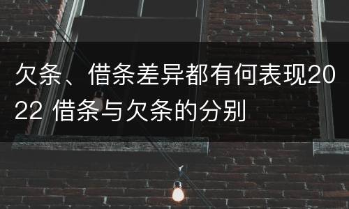 欠条、借条差异都有何表现2022 借条与欠条的分别