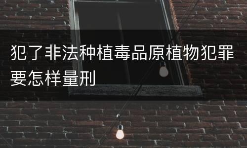 犯了非法种植毒品原植物犯罪要怎样量刑
