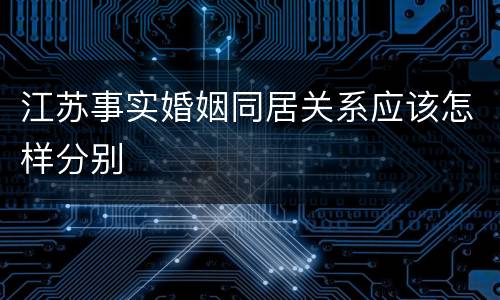 江苏事实婚姻同居关系应该怎样分别
