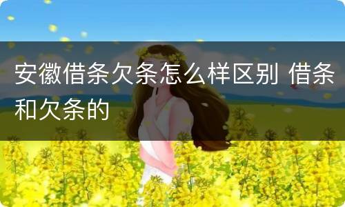 安徽借条欠条怎么样区别 借条和欠条的