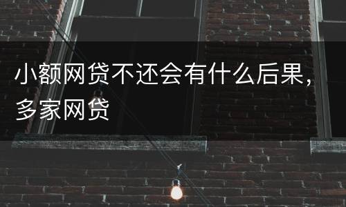 小额网贷不还会有什么后果，多家网贷