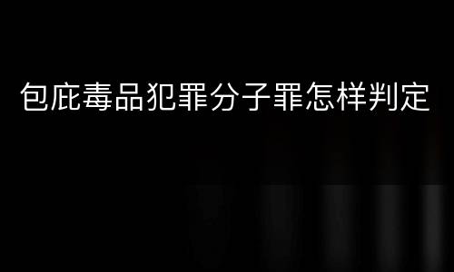 包庇毒品犯罪分子罪怎样判定