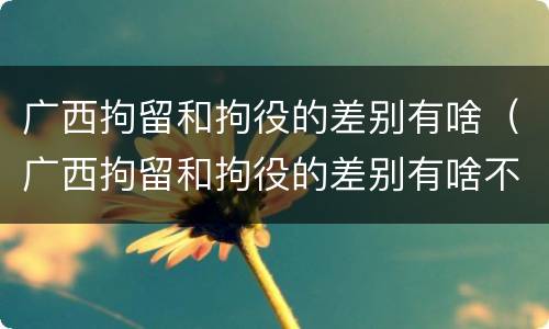 广西拘留和拘役的差别有啥（广西拘留和拘役的差别有啥不一样）