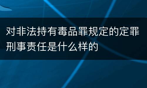 对非法持有毒品罪规定的定罪刑事责任是什么样的