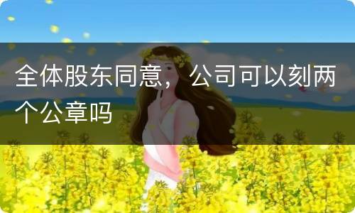 全体股东同意，公司可以刻两个公章吗