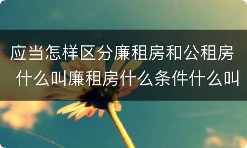 应当怎样区分廉租房和公租房 什么叫廉租房什么条件什么叫公租房