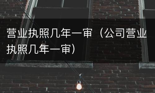 营业执照几年一审（公司营业执照几年一审）