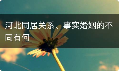 河北同居关系、事实婚姻的不同有何