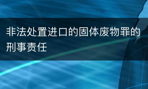 非法处置进口的固体废物罪的刑事责任