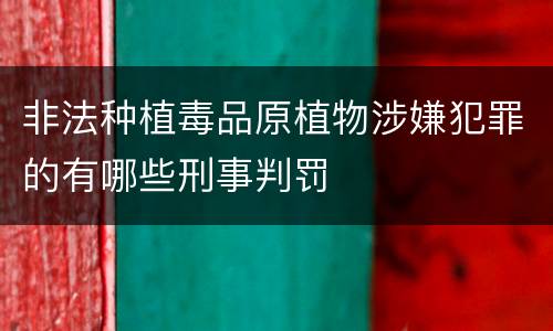 非法种植毒品原植物涉嫌犯罪的有哪些刑事判罚